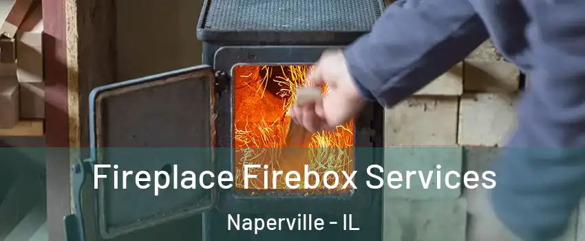  Fireplace Firebox Services Naperville - IL